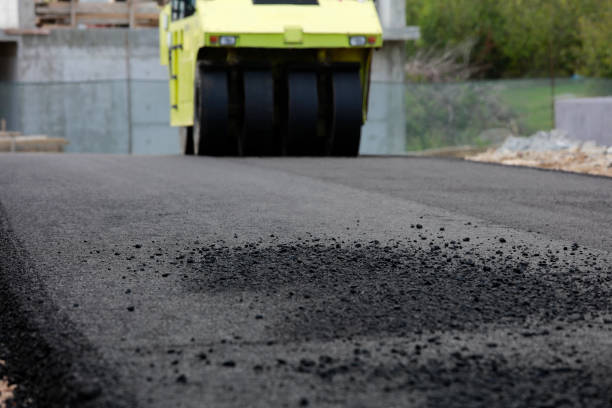 Best Residential Paver Driveway  in Sandy Oaks, TX